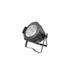 Bristage PAR100T