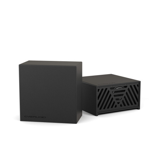 CVGAUDIO SUBone model С6-V2-UNI/BL сабвуферы