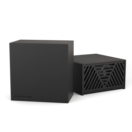 CVGAUDIO SUBone model С8-V2-UNI/BL сабвуферы