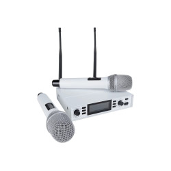 Axelvox DX800SW