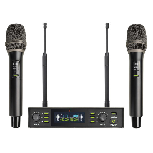 Axelvox DX800FK С 2-мя микрофонами
