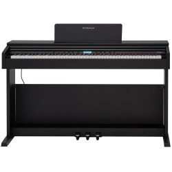 ROCKDALE ETUDE 256 BK