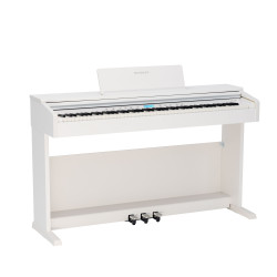 ROCKDALE ETUDE 256 W