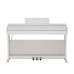 ROCKDALE ETUDE 256 W ЦИФРОВЫЕ ПИАНИНО, РОЯЛИ И ОРГАНЫ