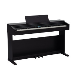 ROCKDALE ETUDE 256 BR