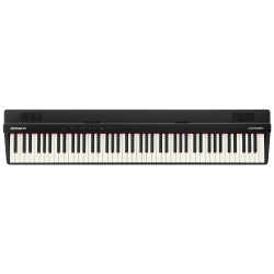 ROLAND GO-88PX