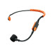 SHURE GLXD14+E/SM31-Z4