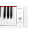 Artesia PA-Cadence White ЦИФРОВЫЕ ПИАНИНО, РОЯЛИ И ОРГАНЫ