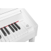 Artesia PA-Cadence White ЦИФРОВЫЕ ПИАНИНО, РОЯЛИ И ОРГАНЫ