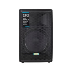 SAMSON RS15HD