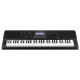 CASIO CT-X800