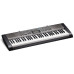 CASIO CTK-1300