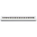 CASIO PX-S1000WE