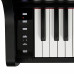 Casio Celviano AP-300BK ЦИФРОВЫЕ ПИАНИНО, РОЯЛИ И ОРГАНЫ