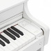 Casio Celviano AP-300WE ЦИФРОВЫЕ ПИАНИНО, РОЯЛИ И ОРГАНЫ
