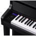 Casio Celviano GP-310BK