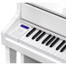 Casio Celviano GP-310WE