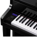 Casio Celviano GP-510BP (товар снят с производства)