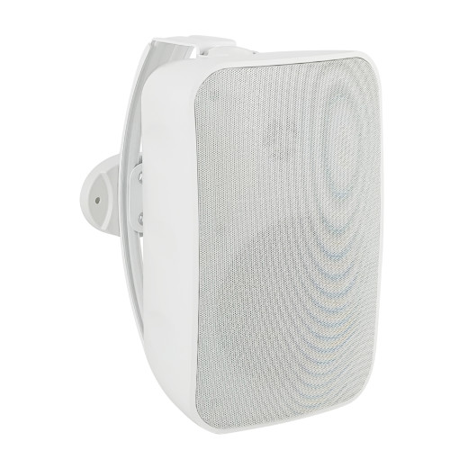 SVS Audiotechnik PAF-50NW PRO настенные