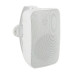 SVS Audiotechnik PAF-50NW PRO настенные