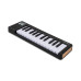 Arturia MicroLab 3 Black 25 клавиш