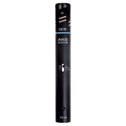 AKG C391B