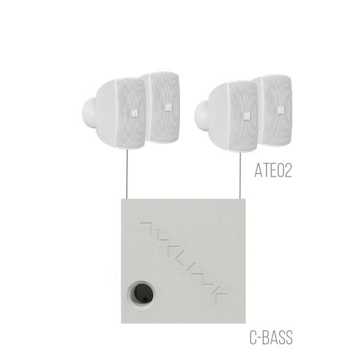 Трансляционные комплекты AVCLINK LIGHT/W