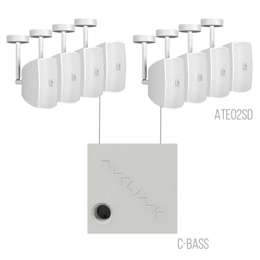 Трансляционные комплекты AVCLINK MEDIUM/SW