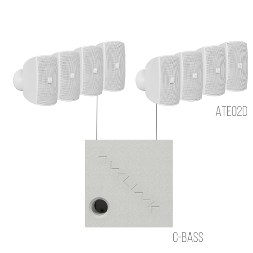 Трансляционные комплекты AVCLINK MEDIUM/W