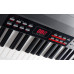 ALESIS Coda