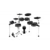 ALESIS DM10 MKII PRO KIT