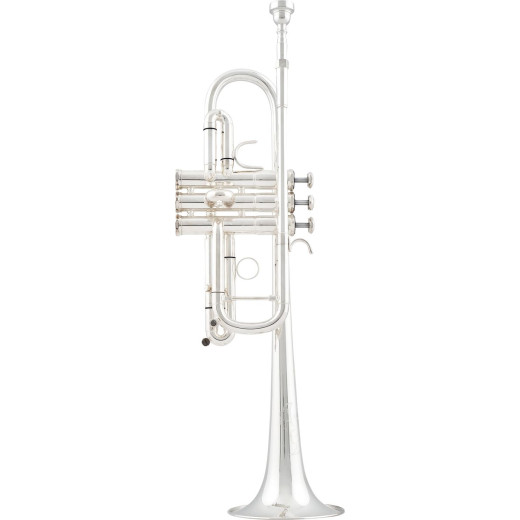 Arnolds&Sons ATR-6600GS-TERRA