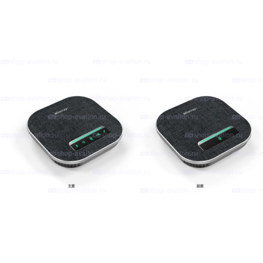 Спикерфоны DSS DSMVC700