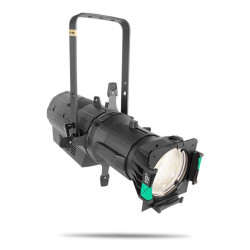 CHAUVET OVATION E-160WW