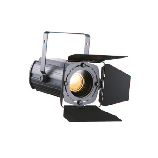 Прожектор CKC Fresnel 100