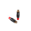 RCA PROCAST Cable RCA6/F/Red