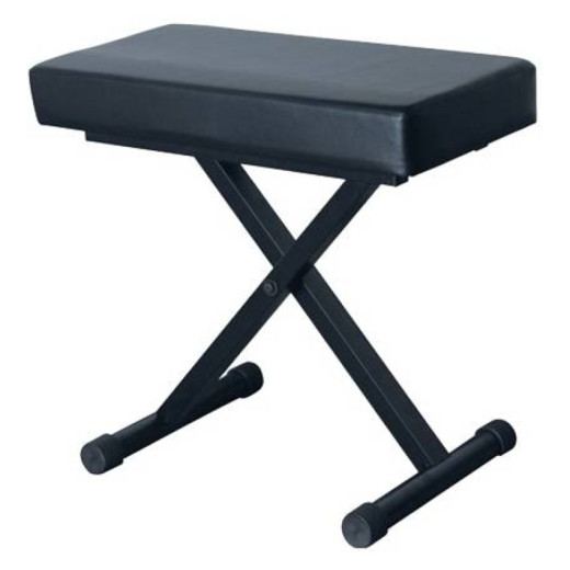 CASIO VISION AP-5116 PROFESSIONAL