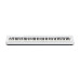 Casio PX-S1100WE