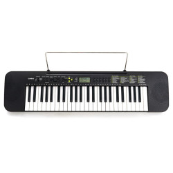 Casio CTK 240 (товар снят с производства)