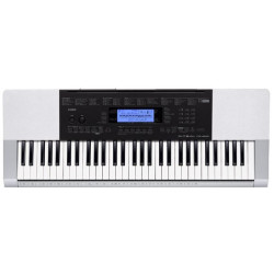 Casio CTK 4200