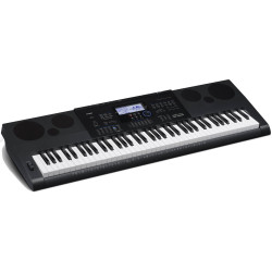 Casio WK 6600 (товар снят с производства)