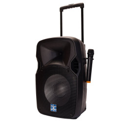 DIRECT POWER TECHNOLOGY APS-12