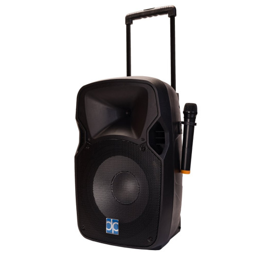 DIRECT POWER TECHNOLOGY APS-12 активная акустическая система