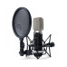 Конденсаторные микрофоны Marantz MPM3500R