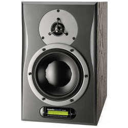 DYNAUDIO AIR12 Master D6