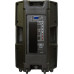 Активная акустическая система Xline PAS-15A