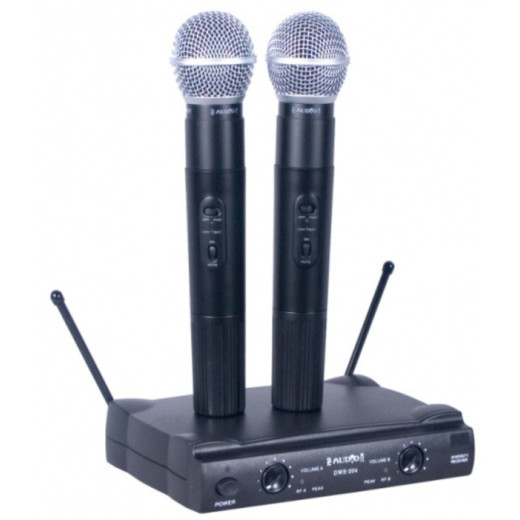 Беспроводные системы PROAUDIO DWS-204HT