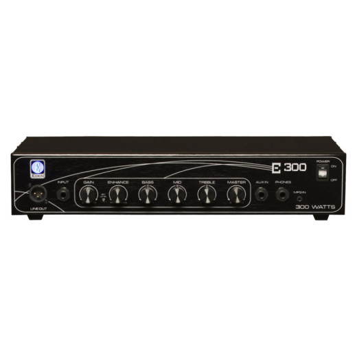 Архив EDEN E300 BASS HEAD