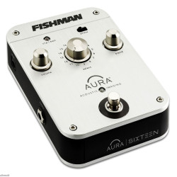 FISHMAN PRO-AIP-P16