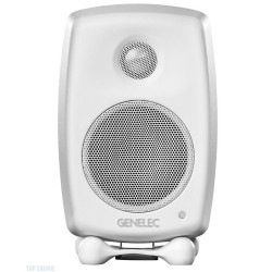 GENELEC 8010AW